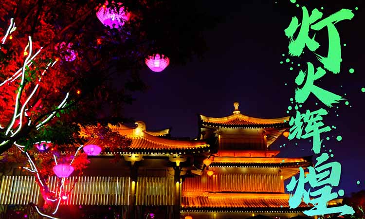 大唐不夜城(5)