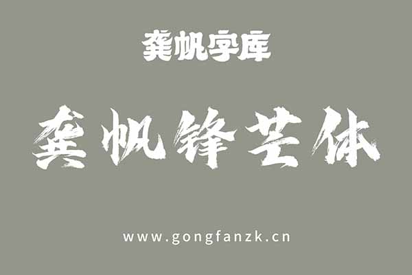 龚帆锋芒体20240906